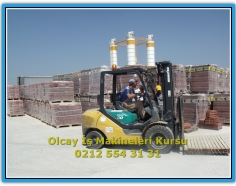 operatoregitimi00011