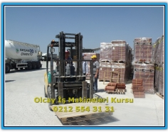 operatoregitimi00012